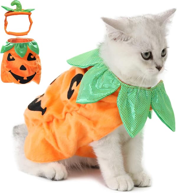 1 ST Kattekostume, Halloween Kattekostume Græskar Cosplay Kostume, A