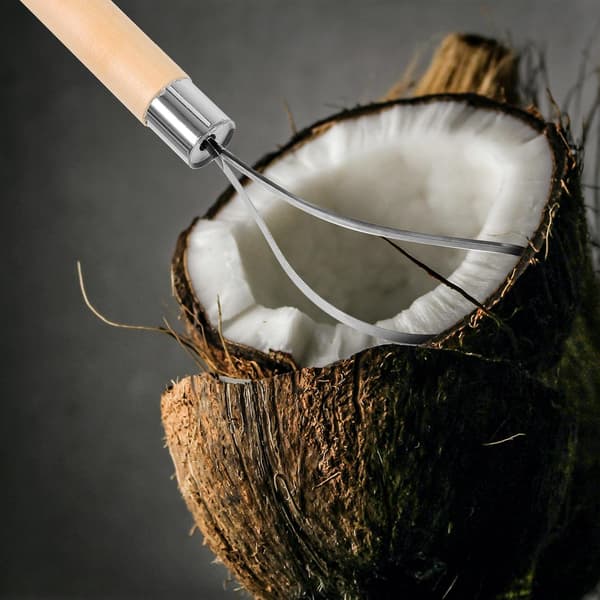 Coconut Meat Removal Tool with Scraper Scales and Easy-to-Clean Synthetic Material