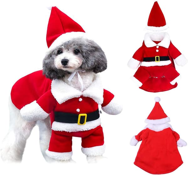Julemandstøj til hunde og katte, sødt julemandstøj til kæledyr