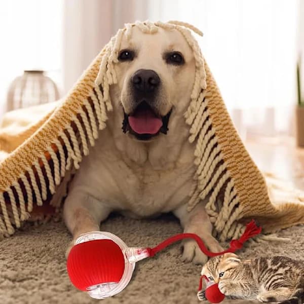 Rolling Ball, Dog Toy, Interactive Smart Ball for Dogs, Interactive Cat Toy, 360° Smart Automatic-FM- Grey
