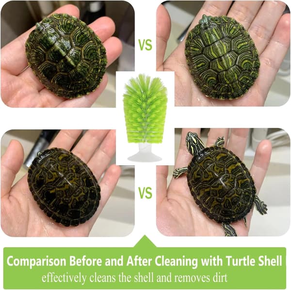 Turtle Shell Cleaning Brush with Suction Cup, Soft Bristles for Aquarium Turtles, Green