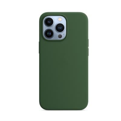 Silikoneetui med MagSafe (til iPhone 13 Pro) - Eucalyptus