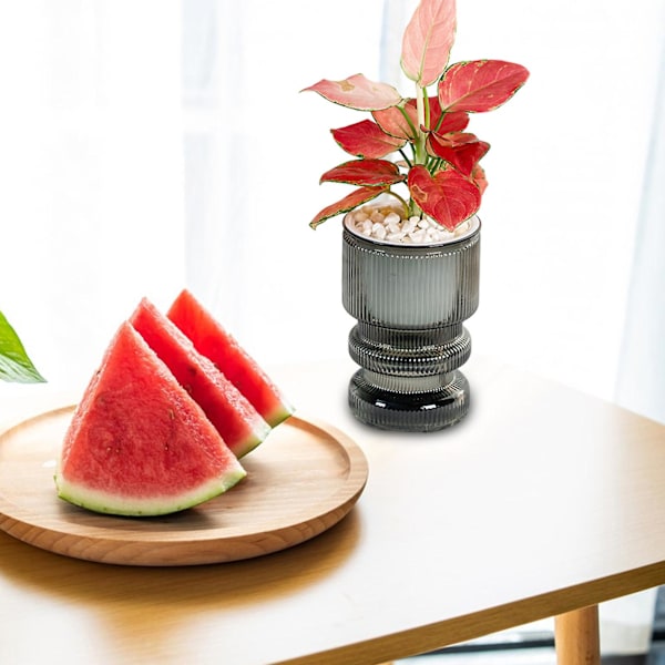 Transparenta Hydroponiska Små Krukor för Växter, Inomhus Vardagsrum Desktop Transparent Hydroponisk Pl