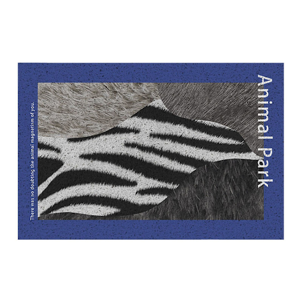 Mutimatto 45x75cm/17.55x29.25in Super Absorbentinen Mikrokuitu Ovi Matto Ja Lemmikin Matto Liukumaton Paksu Pesu