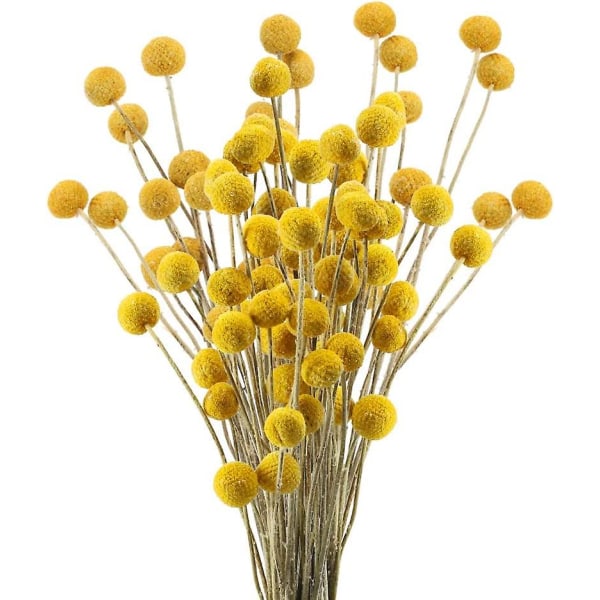 30pcs Dried Flowers Real Natural Artificial Flowers Fake Flowers Dried Flowers For Wedding Party Table Top Photography Props Decoration Yellow 50