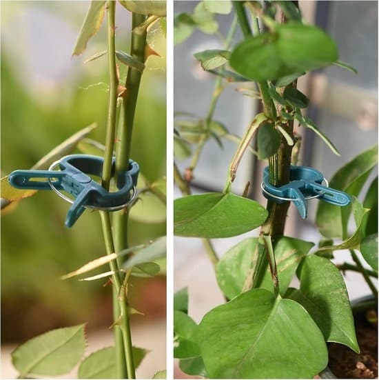 Plant Support Clips - Climbing Plant Fasteners - Keeps Plants Upright - Flexible Adjustable - 80 Pieces - Green