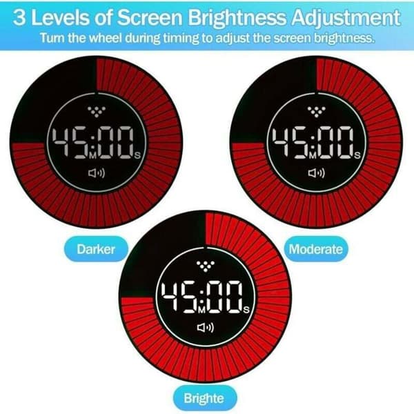 Digital Visuel Timer - PZCC - Farveskærm - 60-minutters Nedtælling - Lydløs - 4 Alarmtilstande