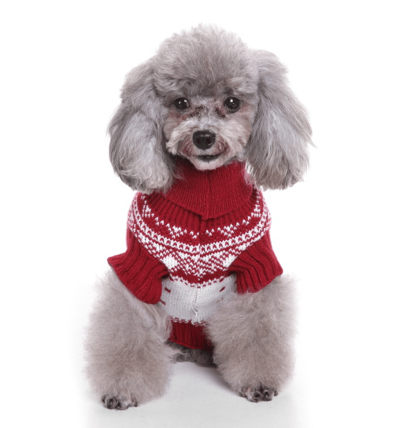 M, Red Dog Sweater with Jacquard Pattern, Knitted Model for Pets