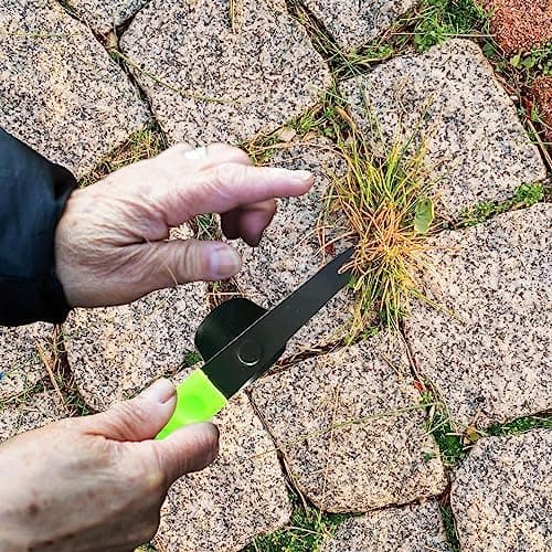 20 cm manuel ukrudtsfjerner haveredskab bærbart ukrudtsfjernerværktøj til græsplæne, have, blomsterukrudtsfjernelse