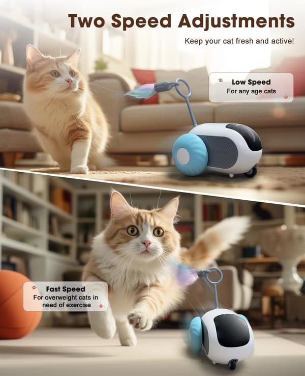 Interactive Cat Toy with Remote Control Adjustable Two Speeds USB Rechargeable Automatic Play Training for Indoor Cats Blue