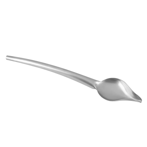 Drizzle Spoon, Rostfritt stål Saucier Drizzle Spoon med avsmalnande pip för dekoration av tallrik