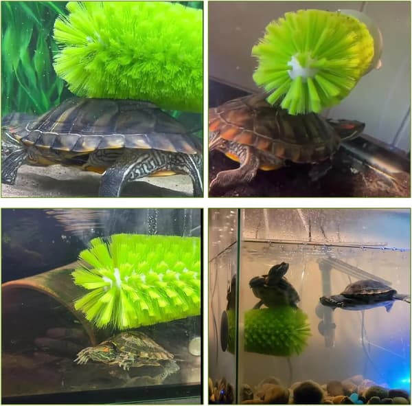 Turtle Shell Cleaning Brush with Suction Cup, Soft Bristles for Aquarium Turtles, Green