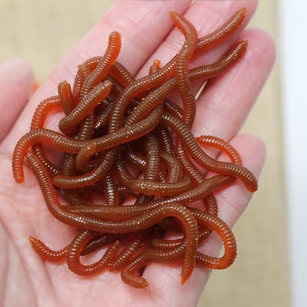 Fiskemaskebeten 3,5 cm 50 stk – selvlysende bløde orme 4 4