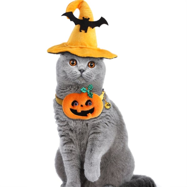 Lemmikin Halloween-noitahattu ja kaulakoru, velhohattu koiranäyttelyyn, asu, lahjaM