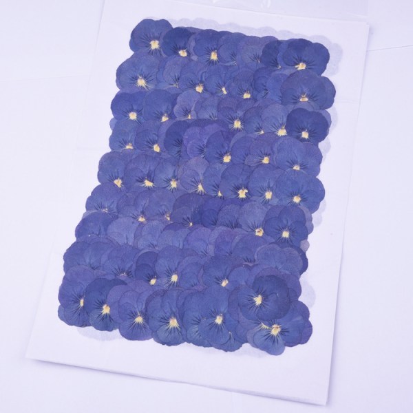 2 STK-påse av torkat blomtryck material-+blå blomma modell-diy