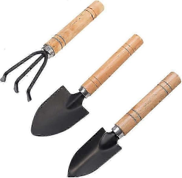 3-piece Mini Garden Tool Set - Wooden Handle Shovel, Rake, Iron Rake for Planting