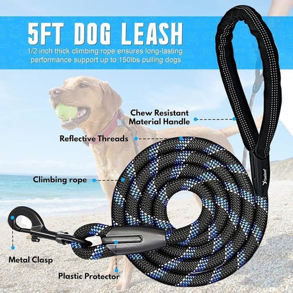 Dog Leash with Soft Padded Handle and Non-Slip Rope Suitable for Running, Jogging, and Hiking (Black)