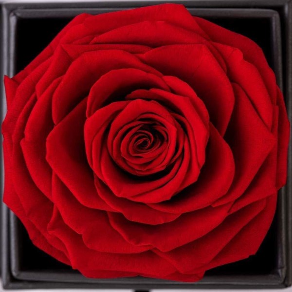 Rose Håndlavede konserverede rosesmykker gaveæske Aldrig visne roser Evige blomst til elsker gave til hende på valentinsdag mors dag juledag