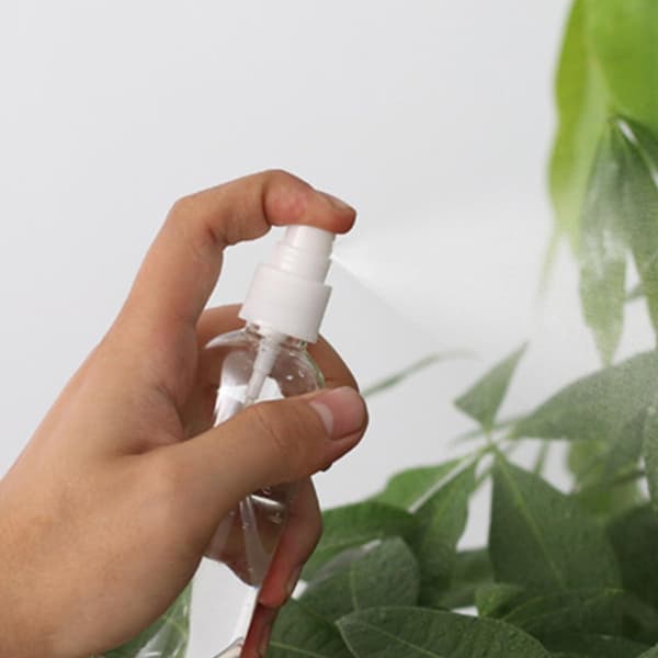 6st 80ml Påfyllningsbara Plastsprayflaskor för Resor, Fin Dimma Vattenspruta för Växter och Kosmetika, Bärbar Läckagesäker Dispenser