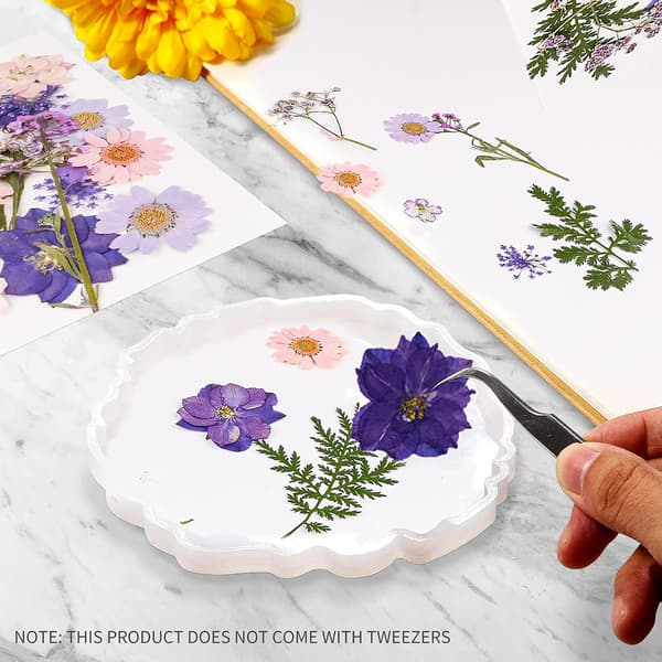 106 ekte tørkede pressede blomster naturlige tørkede blomster Multi
