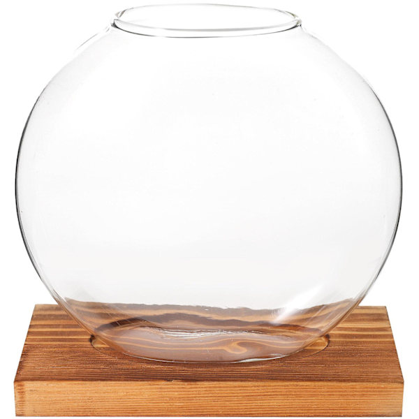 Glasvas med träbas för hydroponisk odling, bordsdekoration, inflyttningspresent, 12,8 x 12 cm