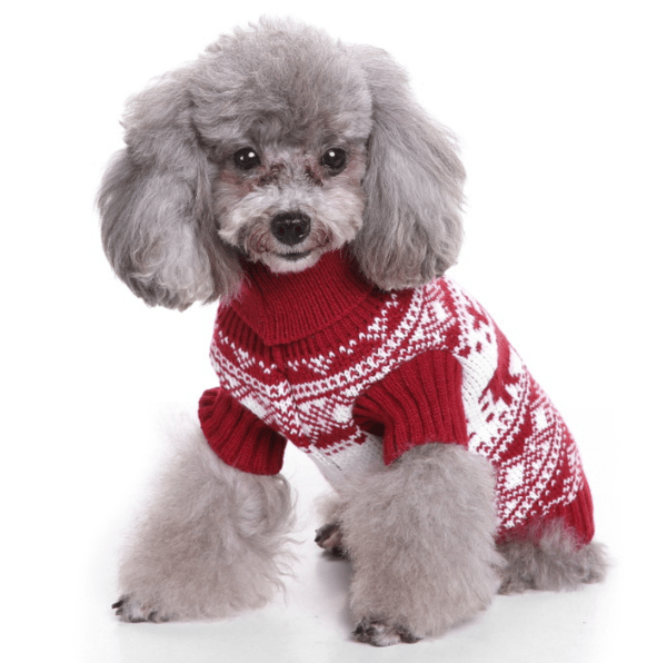 M, Red Dog Sweater with Jacquard Pattern, Knitted Model for Pets