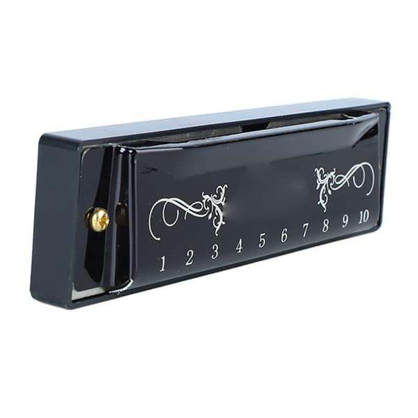 Harmonica 10 Holes 20 Tones C Major Professional Standard Harmonica with Case for Kids Beginners Black