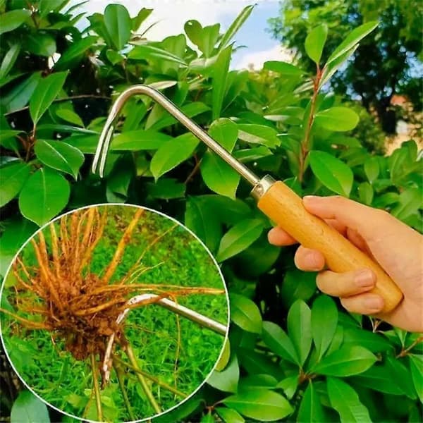 Wooden Handle Single-Claw Root Hook Efficient Weeding High-Quality Root Puller Garden Hand Tool Bonsai Loosening Hook Durable