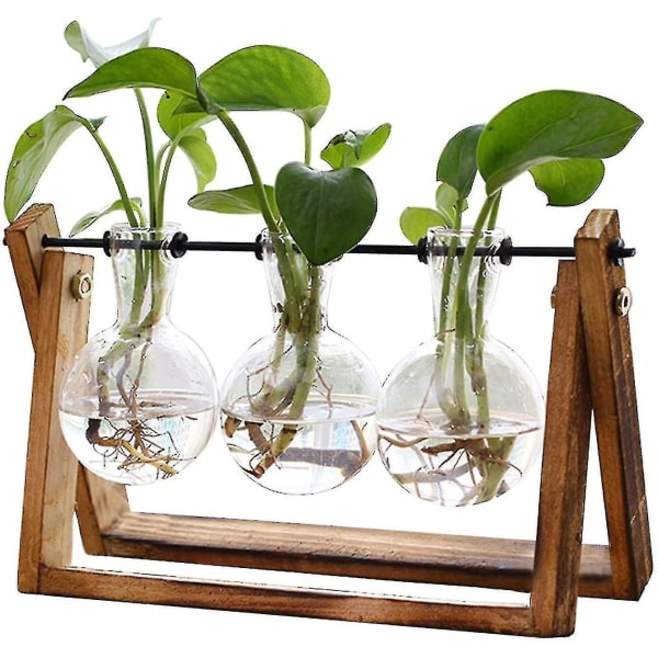 Plant Terrarium With Wooden Stand, Air Planter Bulb Glass Vase Metal Swivel Holder Retro Tabletop - 3 Bulb Vase