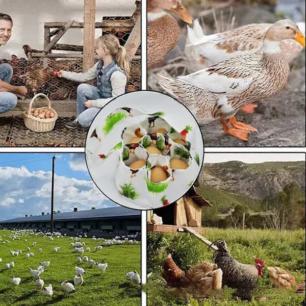 HA~Egg Collection Basket, Mini Egg Basket for Chickens, Egg Collection Basket with 7 Compartments, Chicken Egg Basket for Collecting Fresh Eggs Gräsbo Chicken