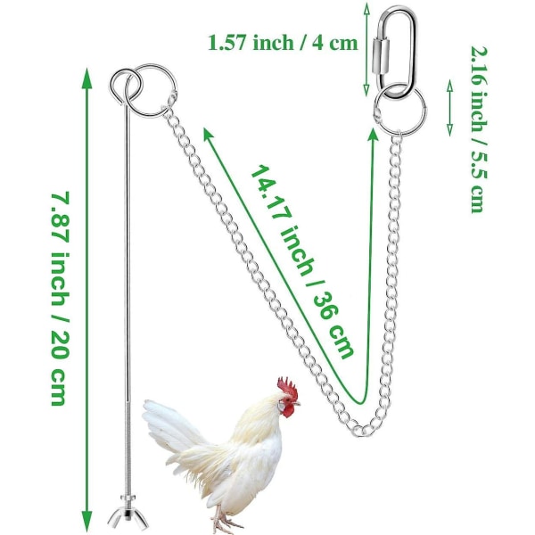 Hängande kycklingmatare Kyckling papegoja Hängande fågelmatare Rostfritt stål Kycklingmatare Leksak