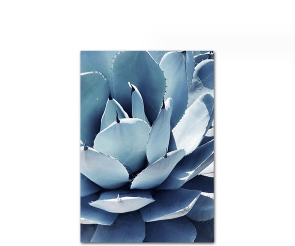 Sett med 5 stykker modell 21*30cm, varme salgsblå planter og blomster
