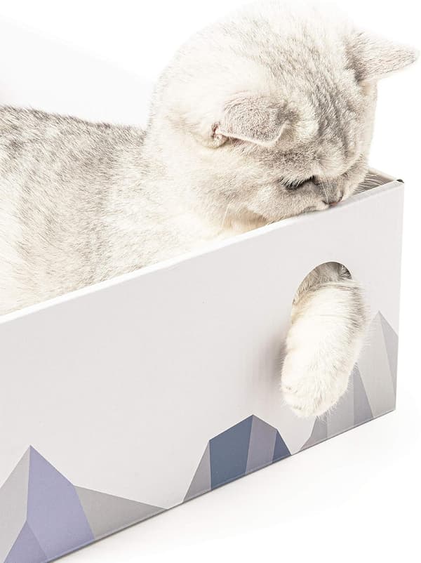 Cat Scratch Box with Scratching Board - Portable Cardboard Lounger - White