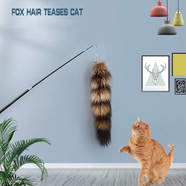 Soft Funny Cat Stick, Retractable Replaceable Head, Relieves Boredom, Kitten Stick for Indoor Use