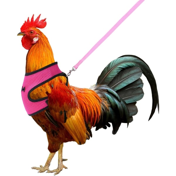 Kycklingsele med koppel Justerbar ventilerande husdjurssele för gåshöna, medium (rosa)