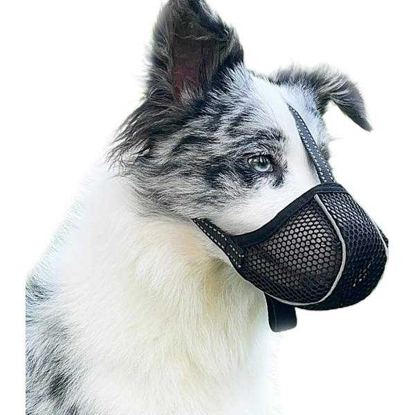 Dog Muzzle Prevents Chewing/Eating/Biting - Breathable, Reflective, and Adjustable Muzzle - Anti-Bite (L)
