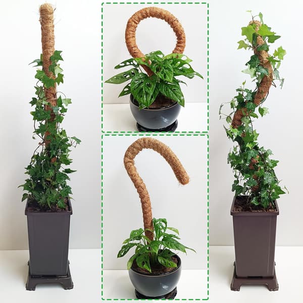 2-pak mosspinde, 63,5 cm bøjelige mosspinde til Monstera-planter, mosspinde til klatreplanter indendørs