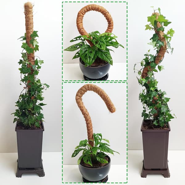 2-pakning mosspinner, 63,5 cm bøybar mosspinner for planter Monstera, mosspinner for klatreplanter innendørs