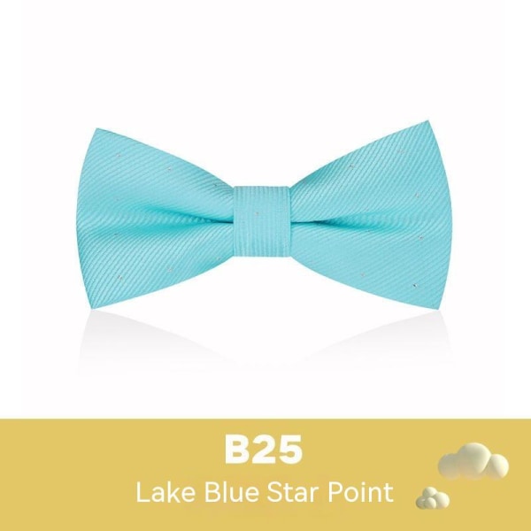 Barnfluga brittisk stil pojke baby dubbellagers liten fluga Lake Blue Star point B25 ett set