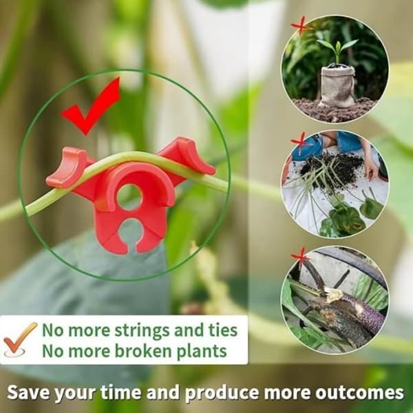 Plant Training Clips, 90 Degree Plant Branch Clips, Branch Shaped Fixing Loop, 60 Pcs