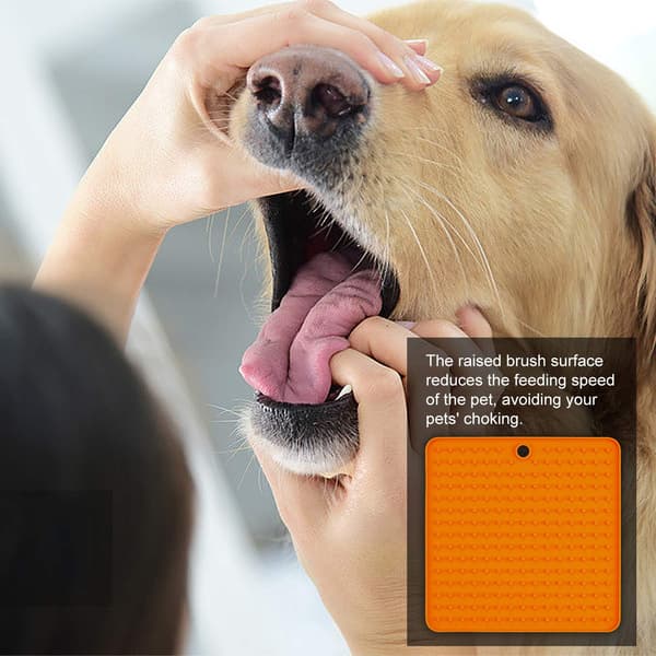 2-delt vanntett hundematte, perfekt for fôring