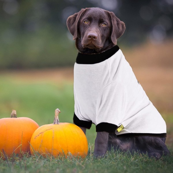 Halloween Hundepet Vintertrøye Katt Varme Klær Morsom T-skjorte for Små Hunder (M)