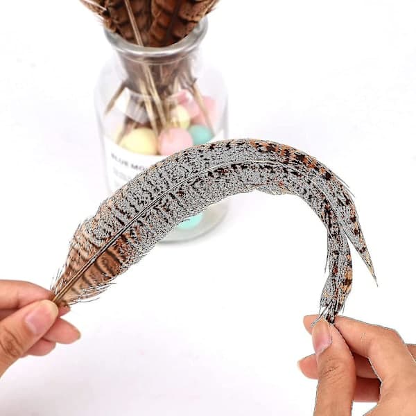 Natural Pheasant Tail Feathers Long Pheasant Feathers Decor DIY Carnival Supplies