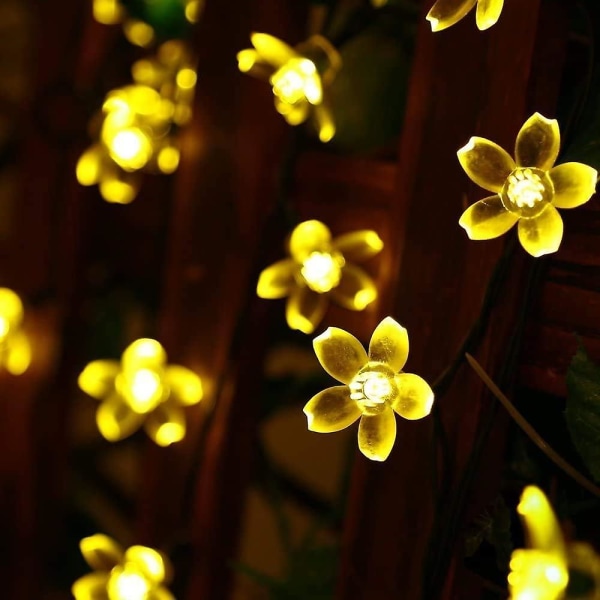 Fairy String Lights Juldekoration 33 fot 100 LED, 8 Blinklägen med Svanskontakt Anslutbar Körsbärsblomma Dekoration Nyhet Ljus FörA