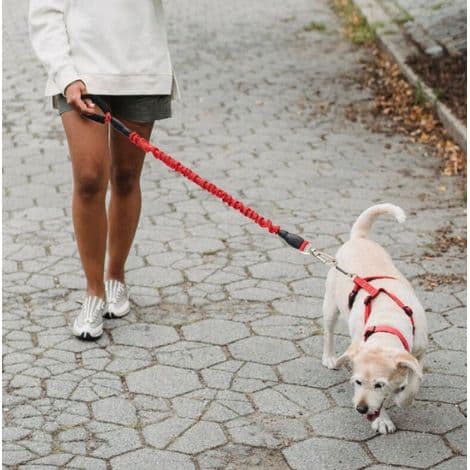 Large Dog Leash, 20-60 kg, Strong, Elastic (120 cm, Red)
