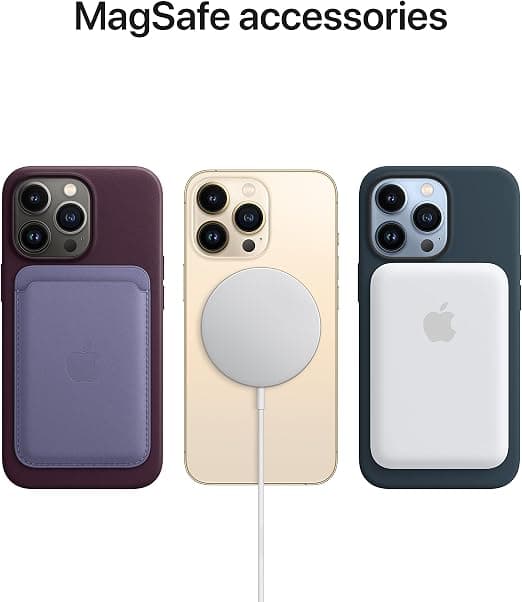Silikoneetui med MagSafe (til iPhone 13 Pro) - Eucalyptus