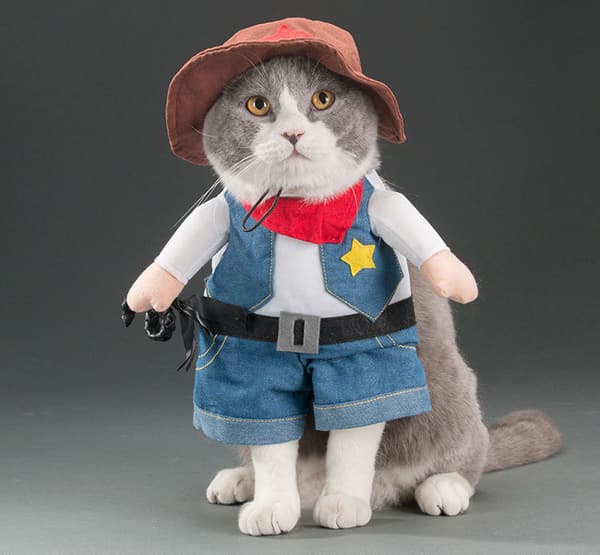 Julekostumer til hund eller kat Cowboy med hat