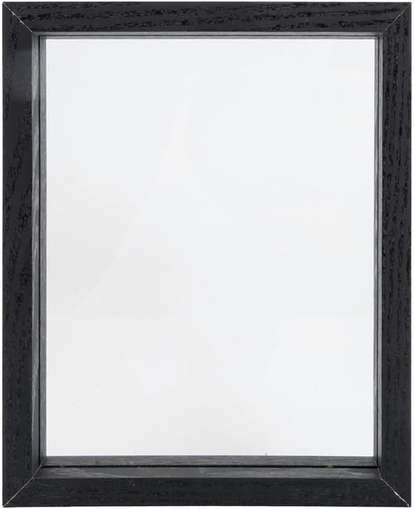 Exemplar Display Frame Plants Display Frame Wood Glass Simple and Generous Appearance Register