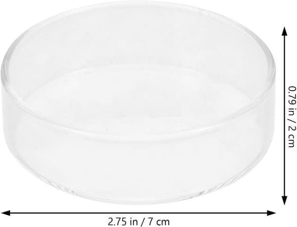 Replacement Lid for Glass Teapot, Easy to Use, Delicate Teapot Lid