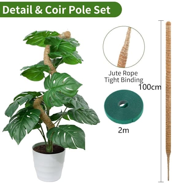 Plant support / support pole, Bendable moss pole 70-100cm - Climbing support 1/2-pack, for indoor plants, ivy and monstera (bt) 100cm-2 pcs 100cm-2 st